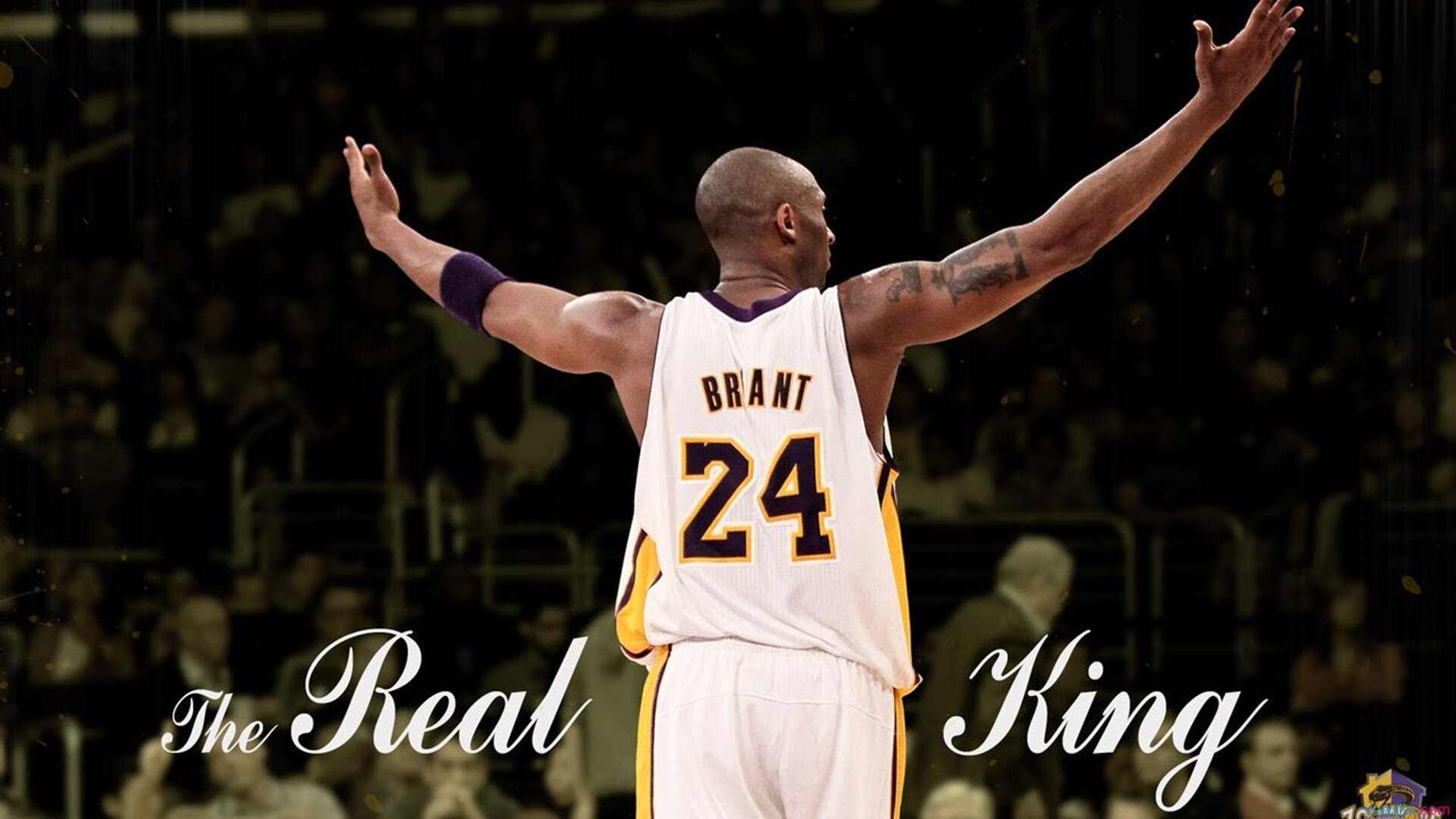 独行侠对阵新疆队，约基奇冠军级表现启示录